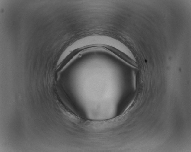 X0000072960037200608181442