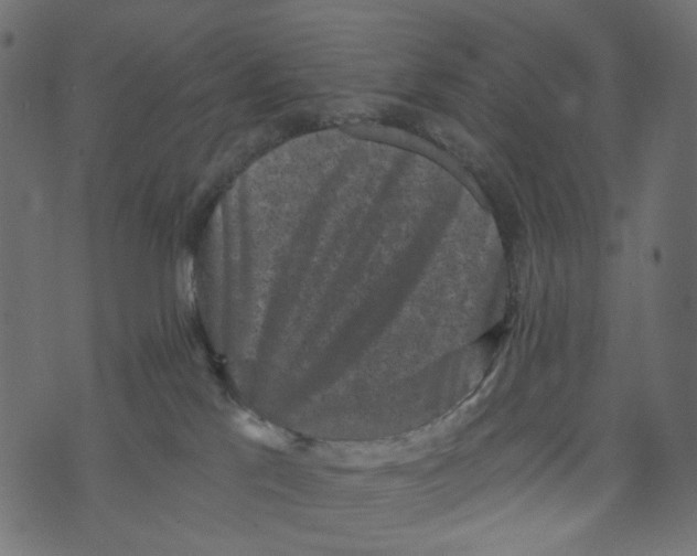 X0000072960041200608181442
