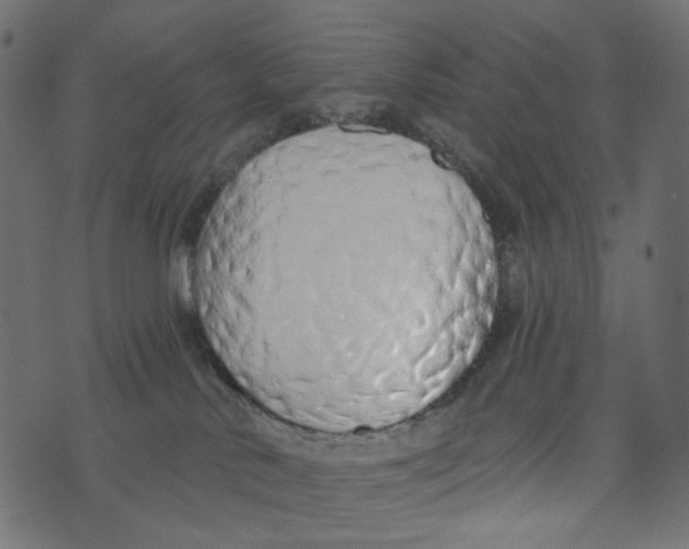 X0000072960042200608181442