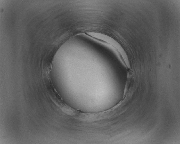 X0000072960045200608181442