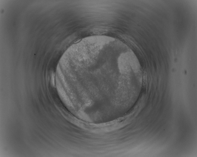 X0000072960046200608181442