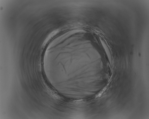 X0000072960054200608181441