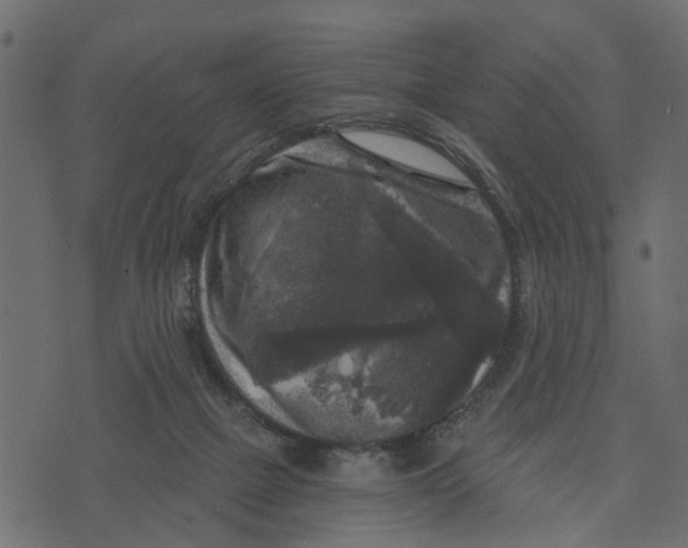 X0000072960073200608181442