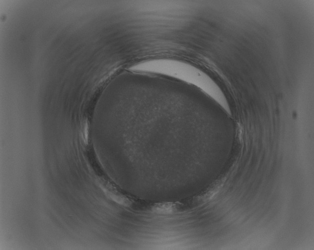 X0000072960076200608181442