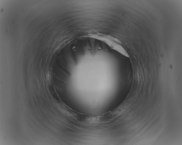 X0000072960084200608181442