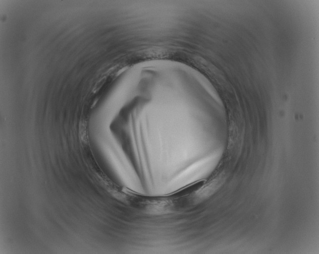 X0000072960096200608181442