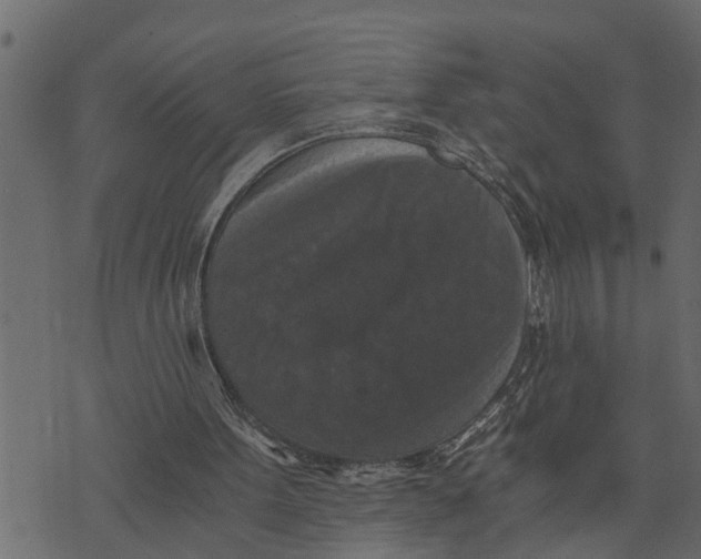 X0000072960099200608181441