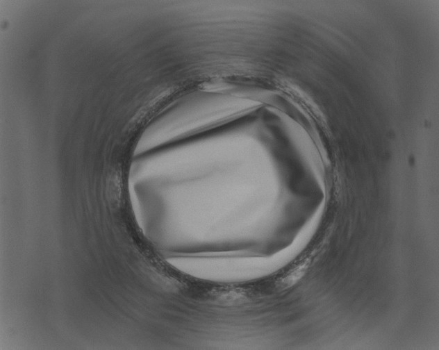 X0000072960113200608181441