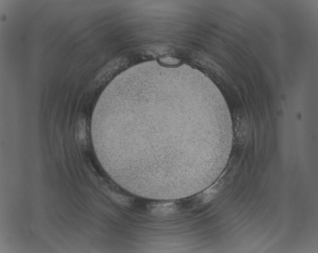 X0000072960132200608181441