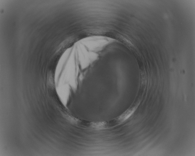 X0000072960143200608181441