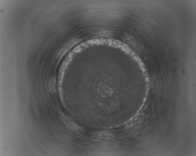 X0000072960146200608181440