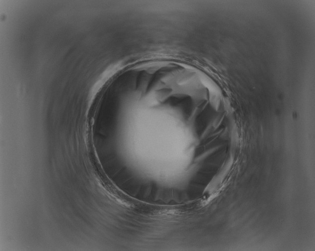 X0000072960152200608181440