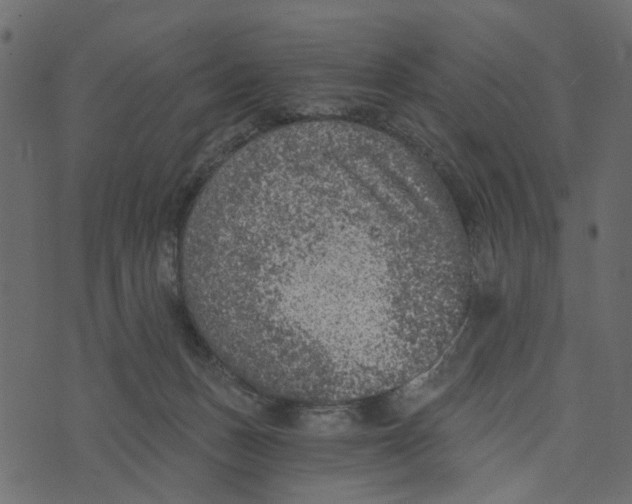 X0000072960175200608181440
