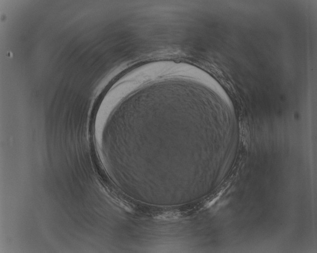 X0000072960196200608181440