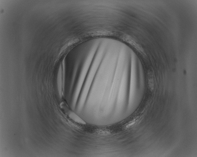 X0000072960207200608181440
