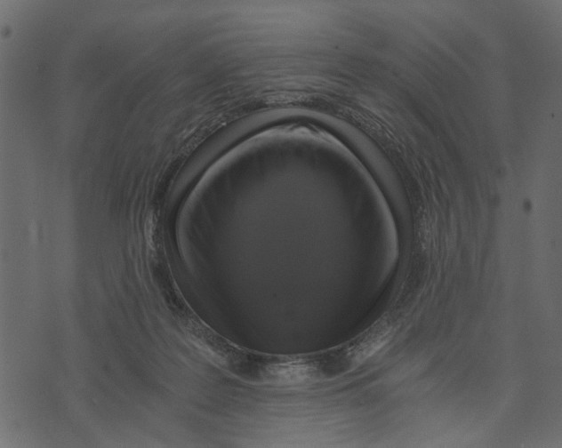 X0000072960219200608181439
