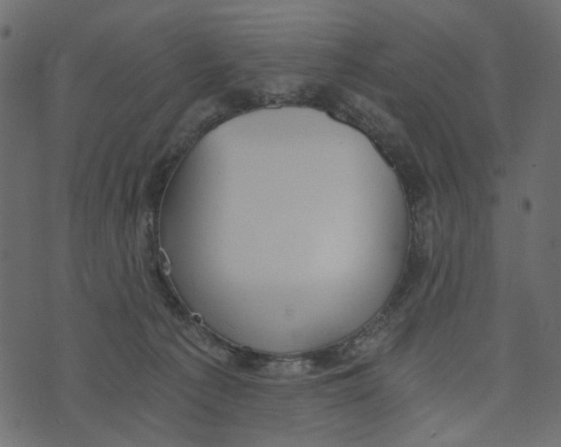 X0000072960225200608181439