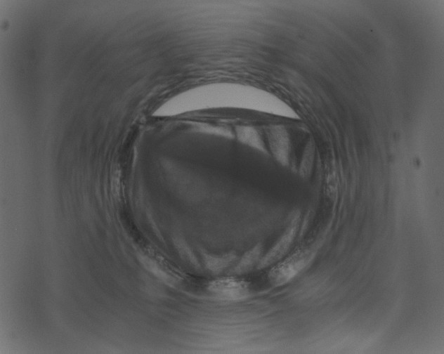 X0000072960231200608181439