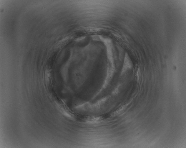 X0000072960235200608181439