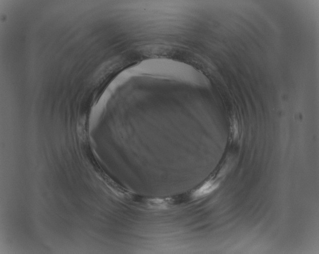 X0000072960239200608181439
