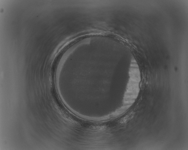 X0000072960247200608181438