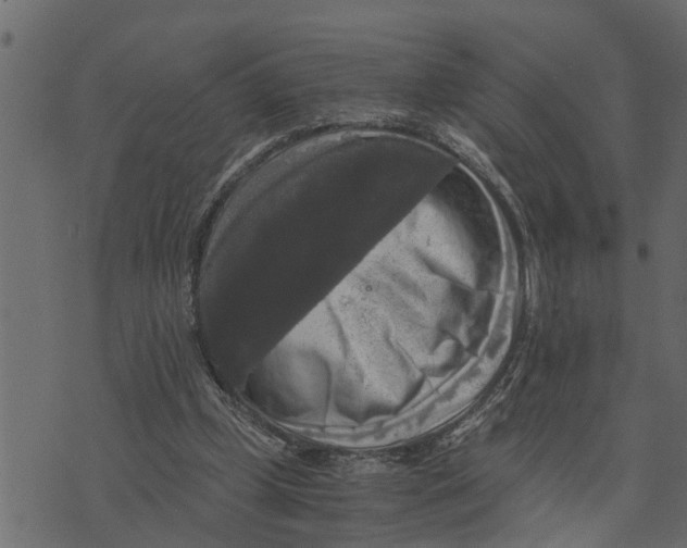 X0000072960249200608181438