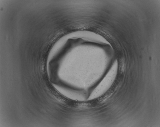 X0000072960268200608181439