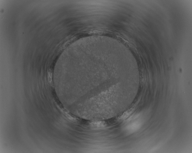 X0000072960281200608181439