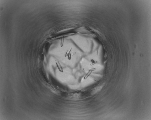 X0000072960288200608181439