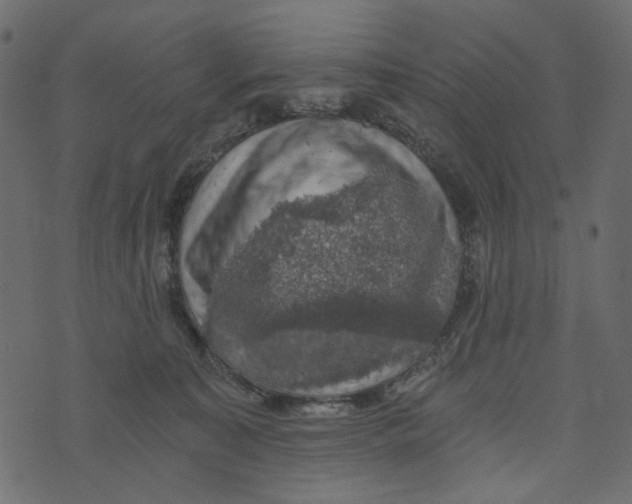 X0000072960323200608181438