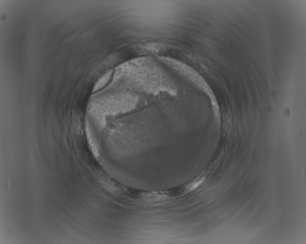 X0000072960331200608181437