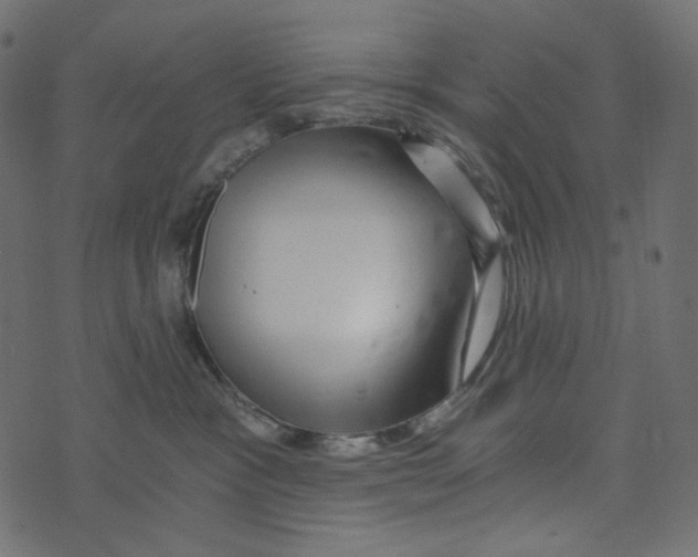 X0000072960333200608181437