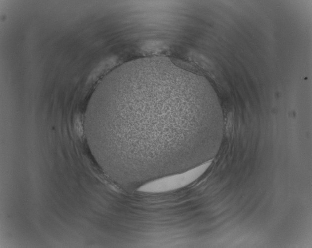 X0000072960335200608181437
