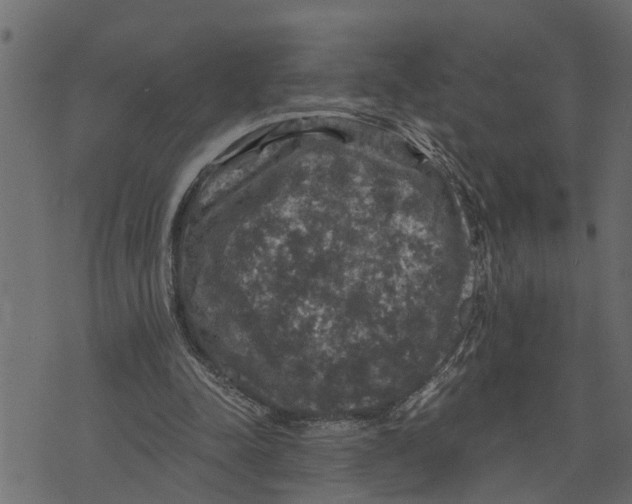 X0000072960342200608181437