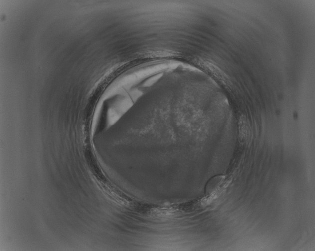 X0000072960351200608181437