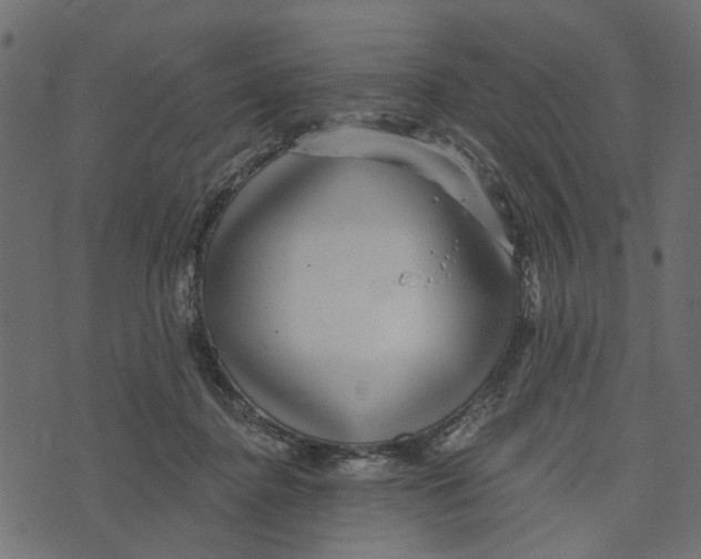 X0000072960364200608181437