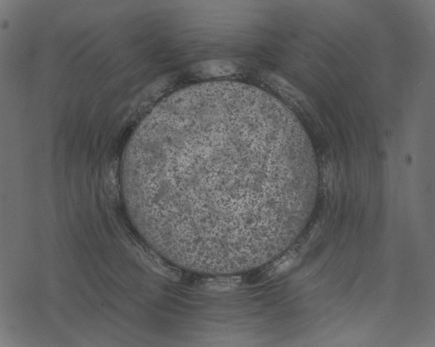 X0000072960373200608181437
