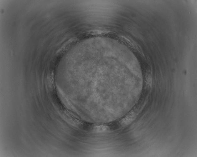 X0000072960376200608181437