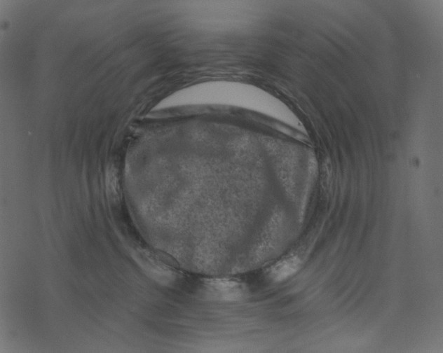 X0000072960380200608181437