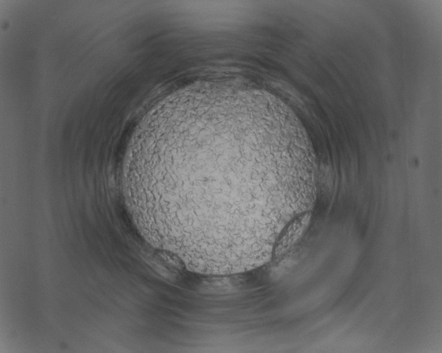 X0000072960381200608181437