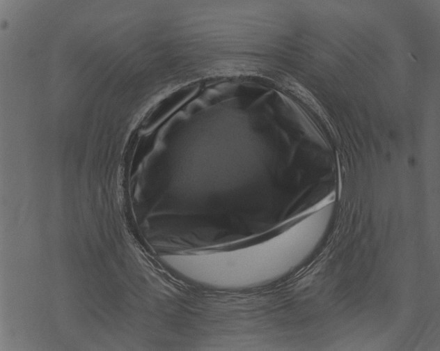 X0000072960387200608181437