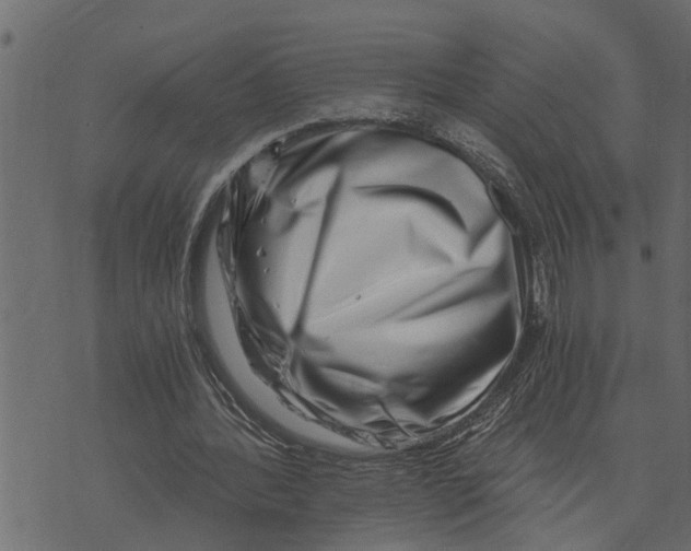 X0000072960388200608181437