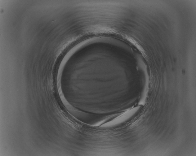 X0000072960391200608181436