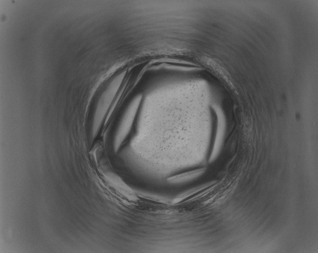 X0000072960395200608181436