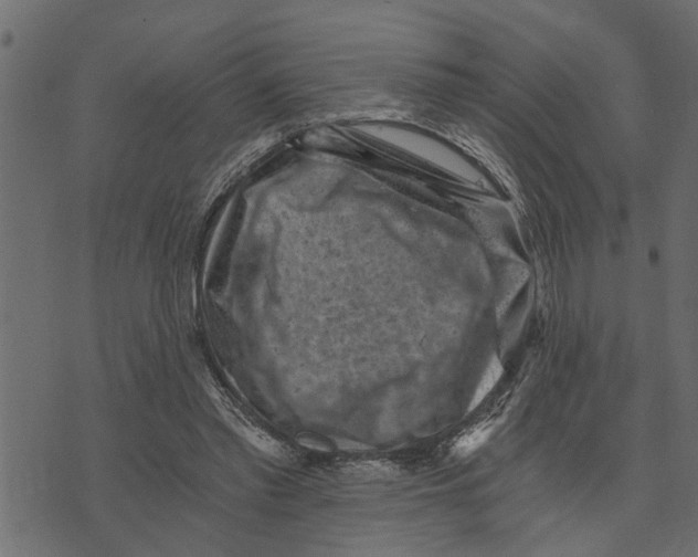 X0000072960397200608181436