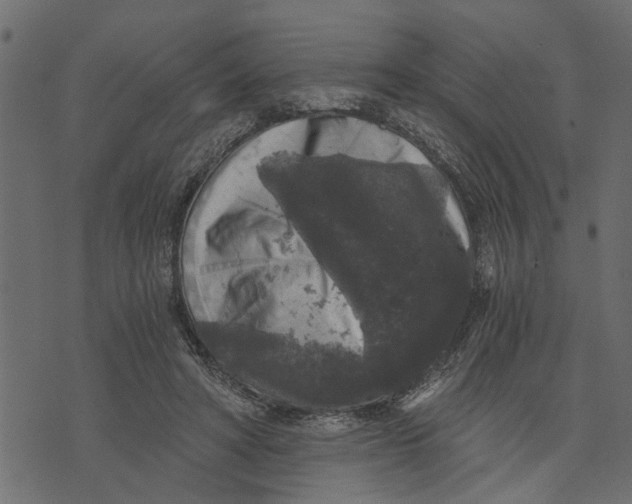 X0000072960402200608181436
