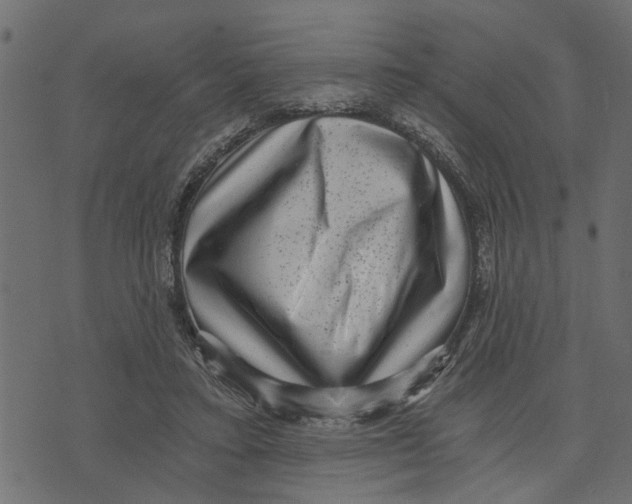 X0000072960403200608181436