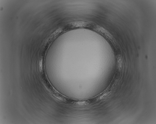X0000072960406200608181436
