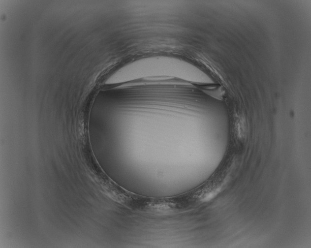 X0000072960407200608181436