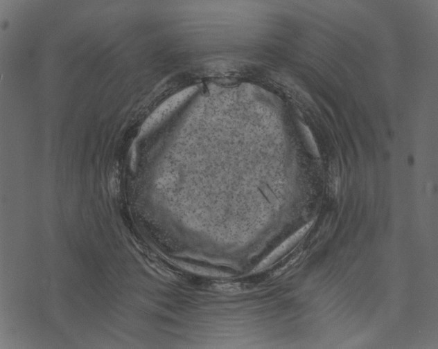X0000072960413200608181436